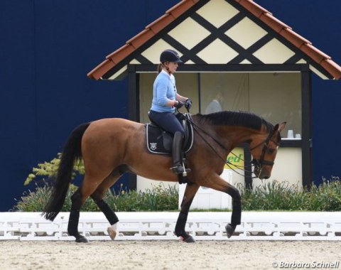 Isabell Werth schooling Emilio