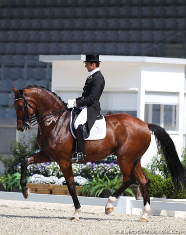 Remy Bastings on Ambassador