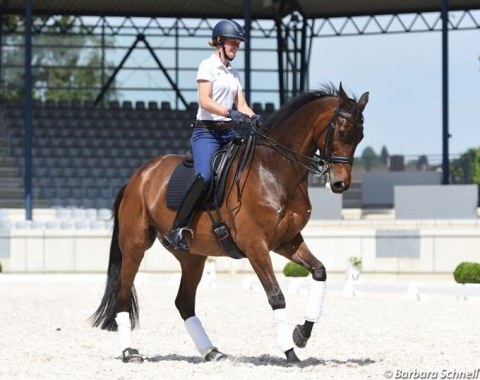 Lara Butler on the Trakehner bred but Oldenburg registered Kristjan (by Polarion)