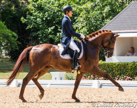 Kazuki Sado on Barolo