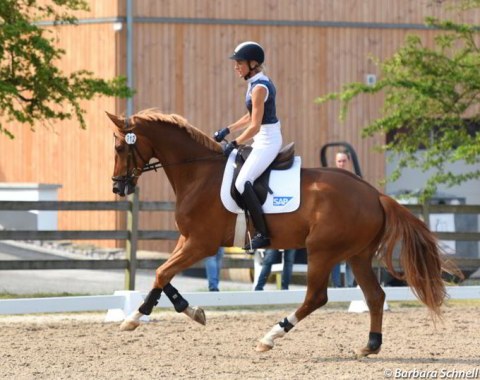 Ingrid Klimke on the youngster Firlefranz (by Franziskus)