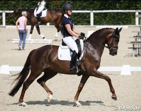 Kira Wulferding on Bonita Springs
