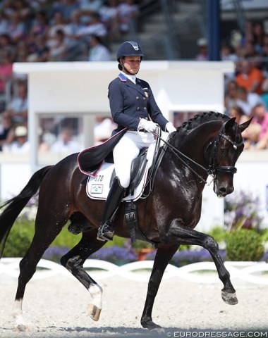 Adrienne Lyle's Salvino is a gorgeous stallion with high quality gaits, but he was a shaky in the contact today and needs to become more regular in the passage and uphill in the extensions. The tempi changes were lovely