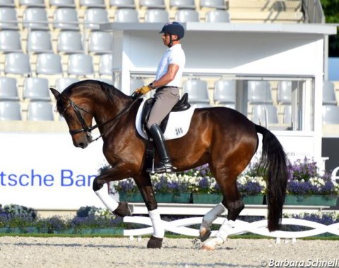 Steffen Peters on Rosamunde