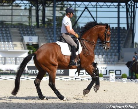 Steffen Peters and Suppenkasper