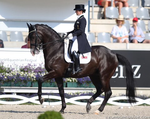 Judy Reynolds made her long-awaited come back on Vancouver K after exactly a one-year break from CDI competition. They last showed at the CDIO Aachen in 2017. Vancouver K was a bit tense and there were too many bobbles in their test today.