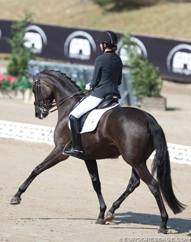 Coached by Beatriz Ferrer-Salat, Spanish Julia Alvarez Abad and Dark Rose El Fangar were one of the most interesting pairs to watch with exemplary training, a soft bridle contact and just a very sympathetic way of going. In the freestyle too many niggles arose and they were fifteenth