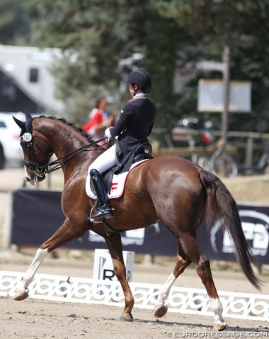 Austrian Helene Grabenwöger held her Der Fuchs in a lovely soft and steady contact throughout the test