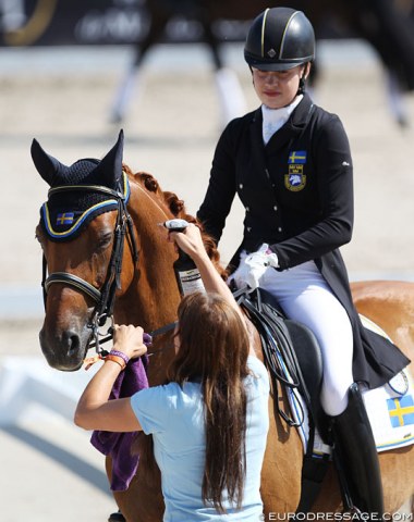 Felicia Olofsson and Bellman getting ready to go into the arena with tons of fly spray