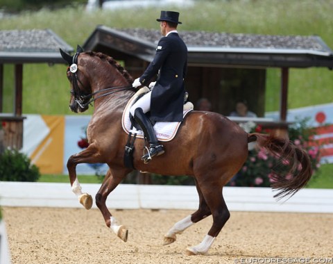 Borja Carrascosa's Ein Traum was not the most regular in trot but showed some good canter work