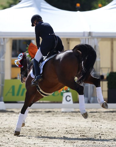 A frisky Havanna almost unseated his rider in the prize giving ceremony