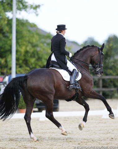 Fie Skarsoe and So Dark chasing Luxembourg WEG team qualification in Leudelange