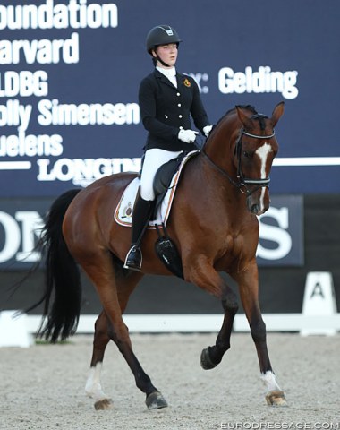 Belgian Kayleigh Buelens on the American bred Oldenburg Fifty Ways to Victory (by Foundation x Harvard)