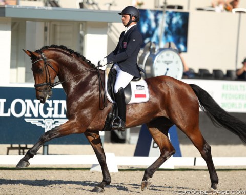 Polish Mateusz Cichon and Casablanca (by Conen x Fidertanz). Last year the mare impressed with her stunning trot under Simone Pearce. Unfortunately today the rhythm was not always as regular in her trot and in canter she lost swing in the body. 