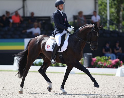 Poland's Mateusz Cichon on Sir Europe (by Sir Donnerhall x Welt Hit II)