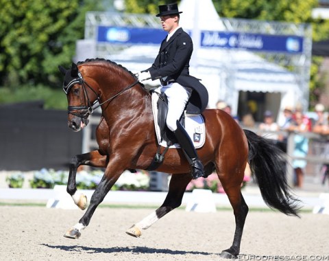 Lukas Fischer was one of just two riders who opted to compete his horse, Helmut von Fircks' First Ampere (by Ampere x Weltruhm), in a snaffle. They finished sixth with 78.314%
