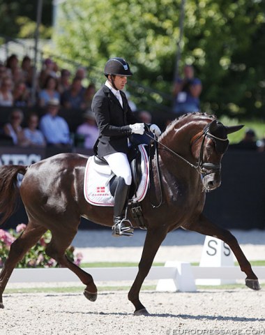 Severo Jurado Lopez could not really made Atterupgaards Botticelli shine. The handsome liver chestnut stallion moved in two pieces and lacked some strength in the topline in trot and struggled with the flying changes in the 6-year old Finals