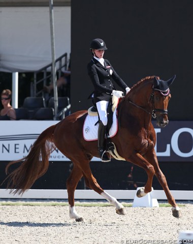 Another Don Juan de Hus' offspring with an exceptional canter: Donne par Dieu, bred by Ulrike Rahn and owned by Fritz Gaulhofer