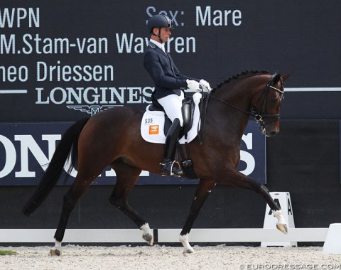 Bart Veeze on the Dream Boy mare Imagine. She is very expressive in trot but lost some 3-beat rhythm and jump in the canter today.