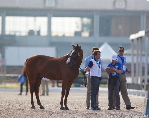 Claudio Castilla Ruiz and Alcaide 