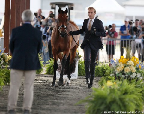 Sönke Rothenberger trotting up Cosmo