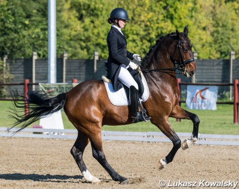 Gabrielle Erdi on Jazmin Yom-Tov's Grand Prix schoolmaster Sierappel, a 19-year old Dutcj warmblood by Montecristo x Flemmingh