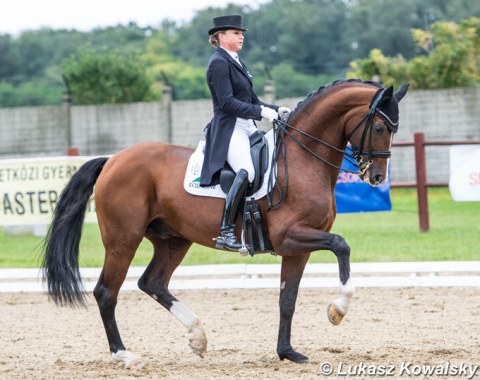 Dorothee Schneider on her new ride, Quadriga's Don Cismo