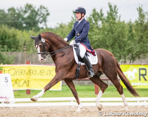 A rare sighting at an international show, Celle state stud head rider Wolfhard Witte, here aboard Quaterhall