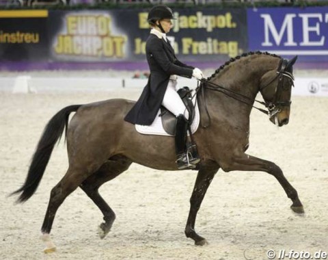 Susan Pape on Harmony Sport Horses' Eclectisch (by Zenon x Olivi)