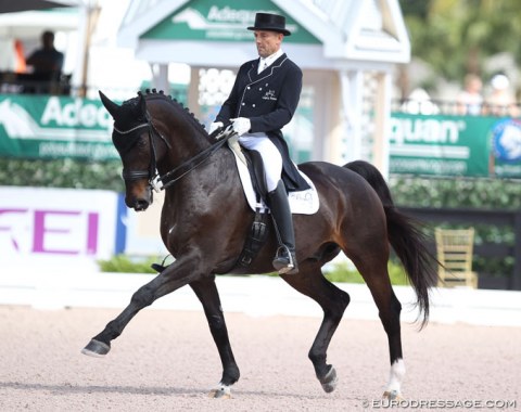 Lars Petersen back in the show ring on Svalegards De Luxe