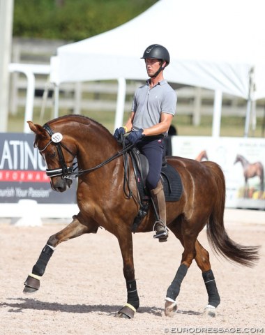 Chris von Martels schooling a horse