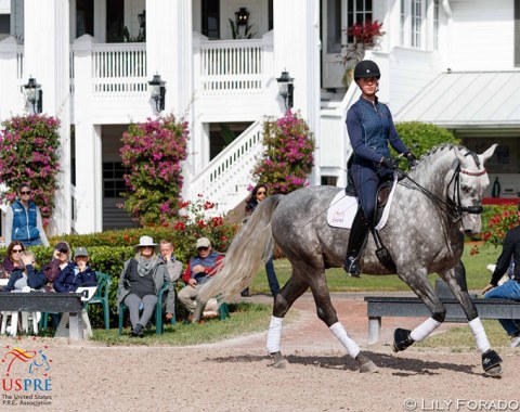 Young horse seminar at Hampton Green Farm