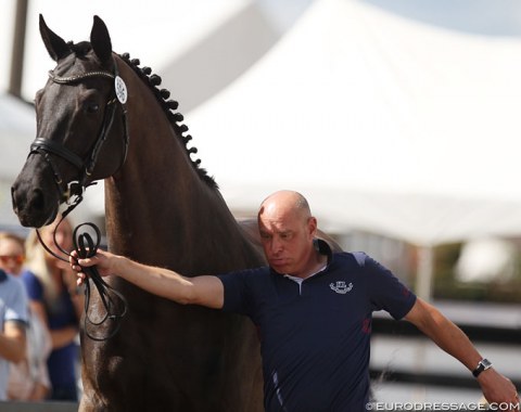 Sanrino RHP trotting up Michael Klimke