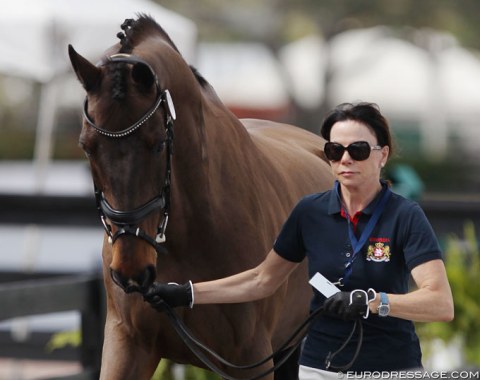 Joanne Vaughan with her evergreen, 20-year old DWB gelding Elmegaardens Marquis