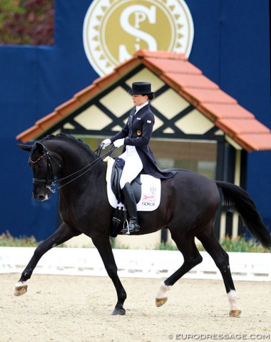 Desperados in his third last CDI in his life, the 2018 CDI Hagen