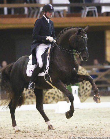 Back in Belgium: the Belgian owned Aaron was trained to Grand Prix level by Jeroen Devroe. The past year he's been ridden by German Heiner Schiergen