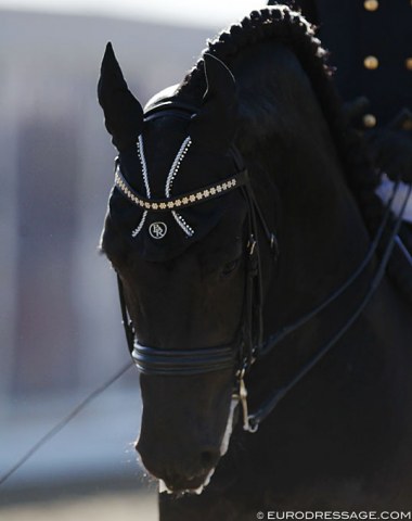 Very interesting and beautiful fly cap for Friesian Elias