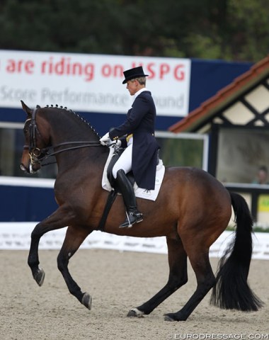 Insa Hansen on the PSI Auction horse Rebroff, a Rhinelander by Robespierrot x Oula Owl xx bred in Belgium by Yves Gielen