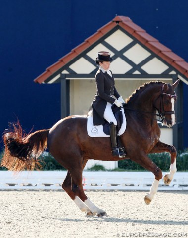 Austrian Astrid Neumayer on Sir Simon (by Samarant x Florestan) which she bought from Ulla Salzgeber last year. Neumayer trains regularly with Hof Kasselmann's Hartmut Lammers