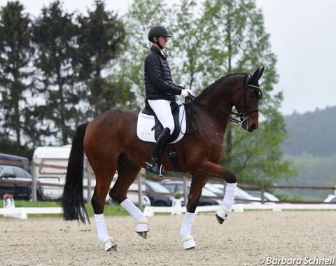 Sönke Rothenberger schooling his second Grand Prix horse Santiano R