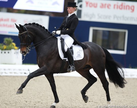 Nicole Wego on Lux Dressage's Status Royal (by Statesman x Rubin Royal)