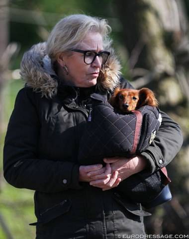 Dog bundled up in a basket