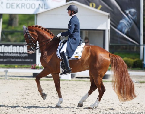 Former Spanish team rider Jordi Domingo is back at Grand Prix with two horses. This is the 9-year old mare Sonata DSH (by Scolari)