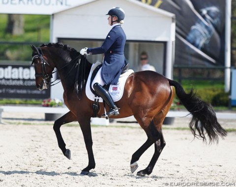 British Sara Gallop on the 13-year old Dutch warmblood Bandreo (by Sandreo)