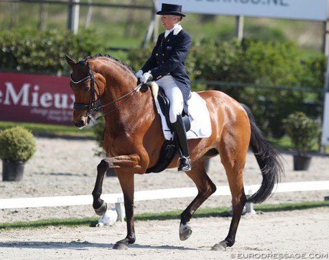 Australian Mary Hanna made her come back on the 12-year old KWPN mare Calanta (by Johnson). Their 2018 WEG campaign got interrupted because the mare sustained a hoof injury last year. They are now back but the horse lacks some ring mileage. Her piaffe and passage are wonderful but were still tense and uneven. More is in the tank