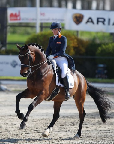 Danielle Heijkoop on Badari (by Gribaldi). This 13-year old KWPN gelding has amazing trot half passes, but in the piaffe he stays too earthbound.