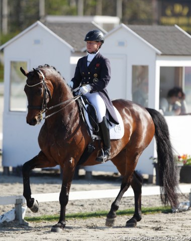 Emma Hindle and the 13-year old Westfalian mare Romy del Sol (by Romanov). Hindle is training with Carl Hester and Rudolf Zeilinger and the hot mare is finding her stride more and more in the arena. She has a stunning passage