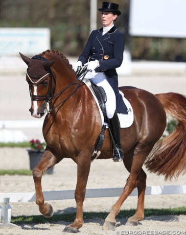 Jana Kun on Gabriele Kiefer's 11-year old Rhinelander bred Larry Labond (by Lord Loxley x Ehrentusch). Cute horse and will definitely be more competitive if he gets more engaged from behind and taking the weight in piaffe and passage