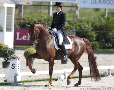 Japanese Ryunosuke Kuroda on the 13-year old KWPN mare Bellatre D.E.S. (by Serano Gold x Rubinstein). Wonderful horse with a spectacular piaffe and passage but still too hot to trot. Hopefully in time the lid will stay on the cooker. 