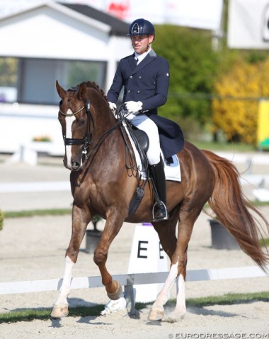 German based Australian Warwick McLean showed much improvement the 11-year old Westfalian Sir Heinrich M (by Sir Donnerhall x Ferragamo). A mistake in the one tempi changes reduced the score